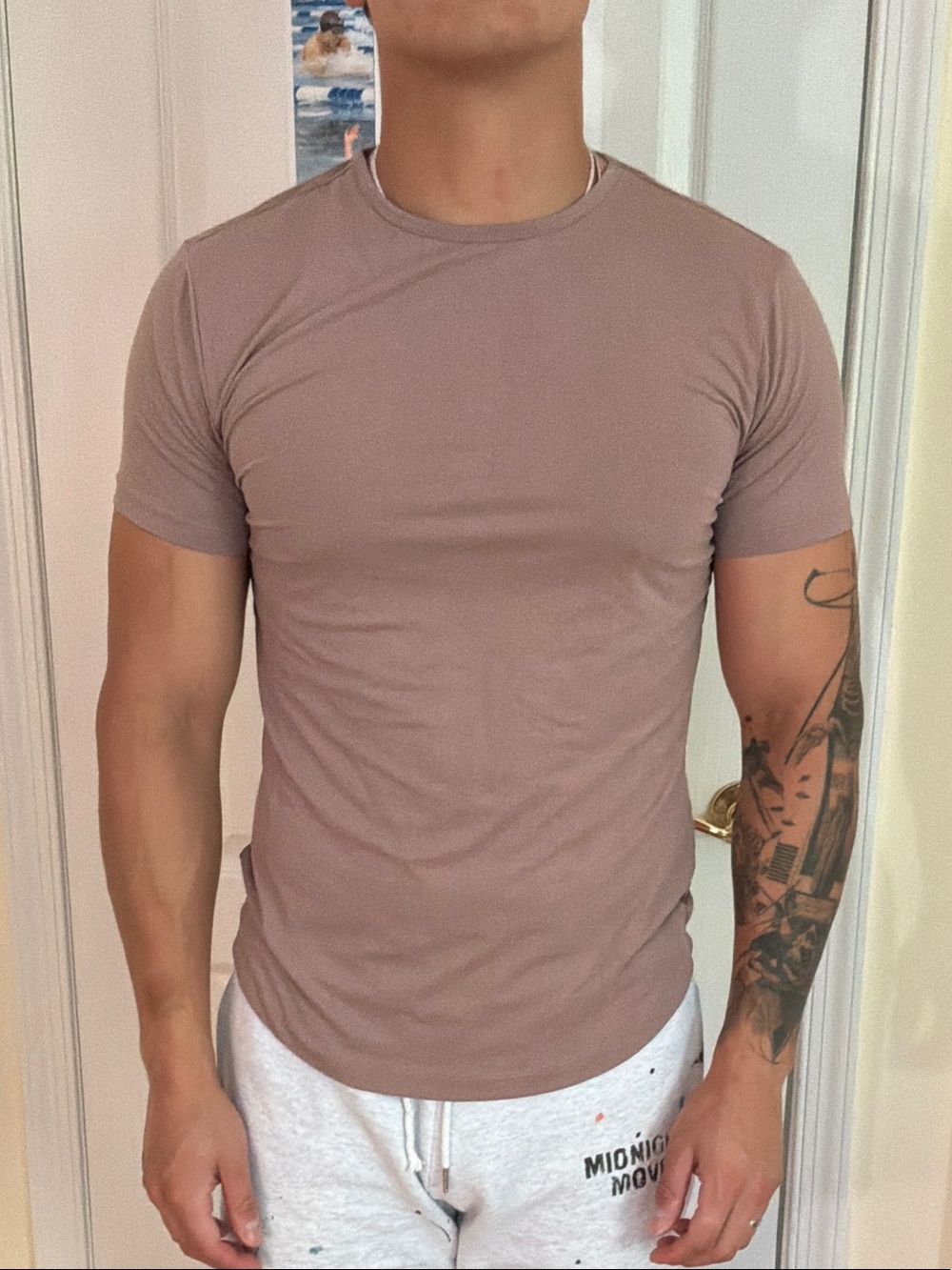 Cuts Clothing Men's Crew Neck T-Shirt - Taupe Morning Mist